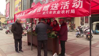 龙坪镇：油菜“一菜两用” 助力农民增收