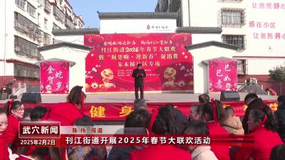 刊江街道开展2025年春节大联欢活动