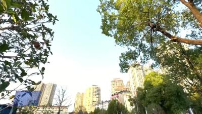 我市免费开放16处停车场 春节期间缓解“停车难”
