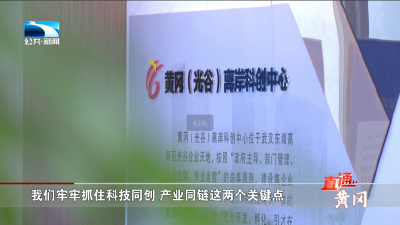 李军杰纵论黄冈的“支点角色”：依托都市圈 辐射大别山 