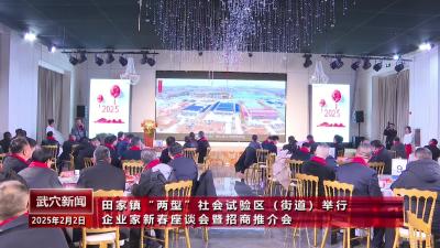 田家镇“两型”社会试验区（街道）举行企业家新春座谈会暨招商推介会