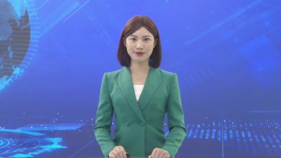 龙坪镇新洲村：为民修路解民忧，铺就百姓发展路