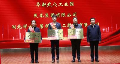 武穴510万重奖税收贡献企业