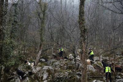 迅速升空，找到了！差点损失几万元......