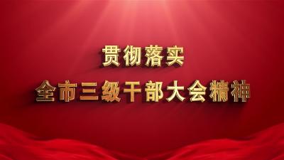 武穴街道：牢固树立“项目为王”理念  当好“三个排头兵”