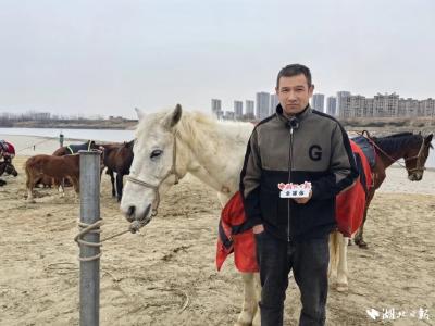 白龙（7岁，已退烧），全市表彰！