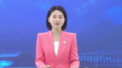 2024年度镇（街道）和市直单位“一把手”述责述廉会议召开