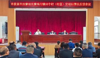 九届武穴市委第六轮巡察完成反馈