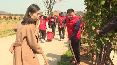 我市宣传战线开展“学雷锋文明实践我行动”主题活动