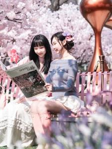 人潮如织，繁花如潮！“马”上赏樱，武汉迎来“樱花黄金周”