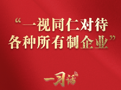 一习话丨“一视同仁对待各种所有制企业”