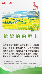 学习时间丨总书记两会“妙喻”，收藏→ 