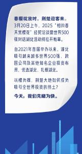 相约春天赏樱花丨当全球知名企业家遇见中部支点 