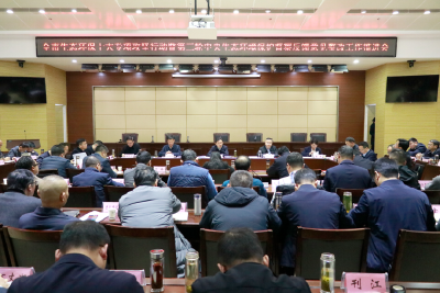 全市生态环境保护十大专项攻坚行动暨第三轮中央生态环境保护督察反馈意见整改工作推进会召开