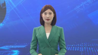李初敏赴我市调研重大文旅产业项目建设