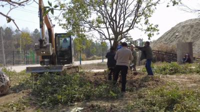 四望镇：全域掀起绿化热 绘就生态建设新画卷