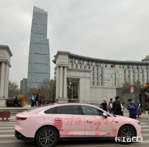 太宠了！武汉赏樱专车外地游客免费坐