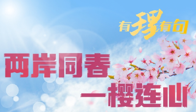 【有理有句】两岸同春，一樱连心
