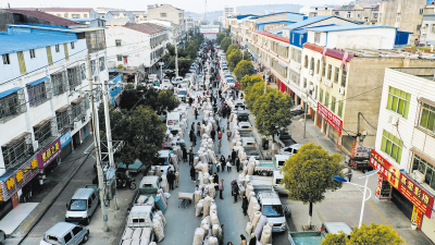 1亿棒香菇撬动12亿产值！随县殷店镇“点菇成金”的乡村振兴样本