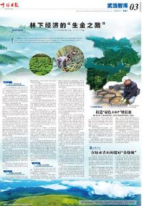 武当智库 | 林下经济的“生金之路” 