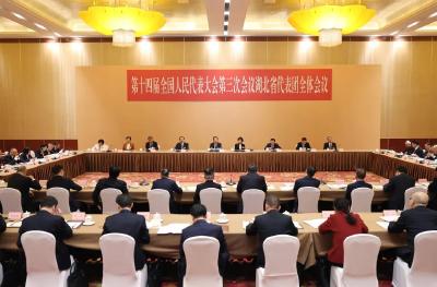 湖北代表团举行全体会议审议政府工作报告 肖捷铁凝王忠林李殿勋等作审议发言