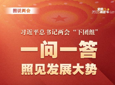 图说两会：习近平总书记两会“下团组” 一问一答 照见发展大势