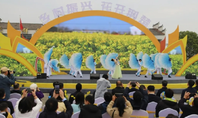 湖北籍网红正式回归！市民大呼：变化太大