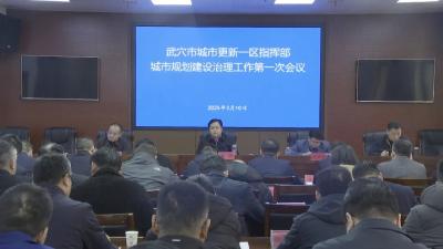 市城市更新各片区指挥部召开城市规划建设治理工作会