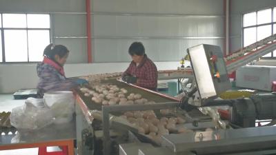 【项目一线】麻城农业领域：强基固本全力推进四大工程 奋战项目建设年  