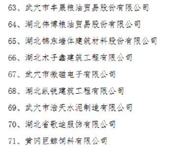 省级名单公布！武穴+9
