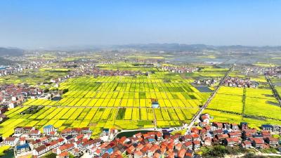 喜讯！全国精神文明建设表彰拟命名名单公布！武穴这些村、单位、家庭上榜