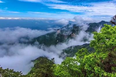 新物种！以英山人命名！