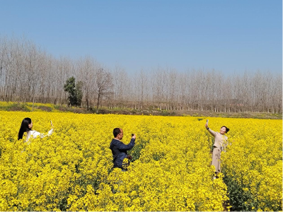 田家镇：昔日撂荒地 今成油菜花海
