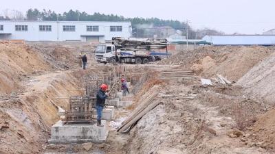 产自中国第一将军县，出口欧美！