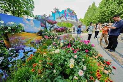 一园览尽90个花园，600余种月季争艳！武汉世界花园大会启幕