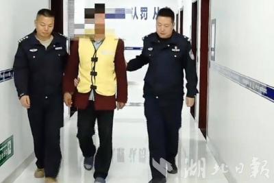 9人遭刑拘！湖北省公布因祭扫、农事用火引发森林火灾典型案例