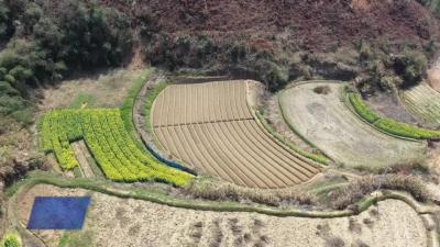 宋美霞：扎根山区带民共致富