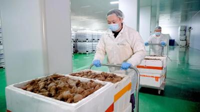 2024年武穴佛手山药产业发展示范点项目资金拨付信息公示