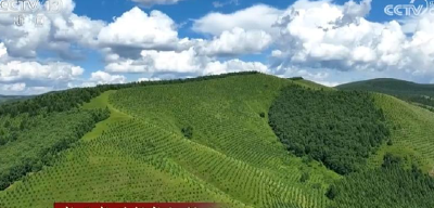 【新思想引领新征程】共植新绿 建设美丽中国
