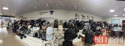 极目锐评|300余家境外媒体热炒汉川童车：睁眼看中国，满目是惊喜