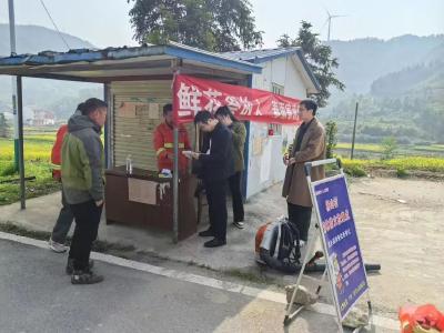 大金镇：开展“绿色追思 文明祭祀”主题实践活动