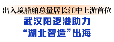 江海直达、 铁海联运，武汉都市圈密织出海通道