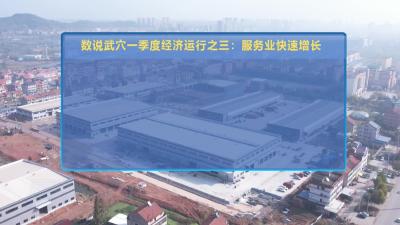 数说武穴一季度经济运行之三：服务业快速增长