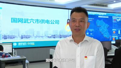 国网武穴市供电公司：转作风优服务 争当电力先锋