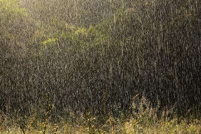 今天早点回家！湖北迎来中雨大雨暴雨＋雷暴大风！