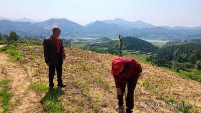 余川镇邢元村：银发力量激活乡村振兴新动能
