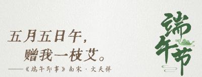 今日端午，愿美好接“粽”而来