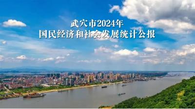 武穴市2024年国民经济和社会发展统计公报