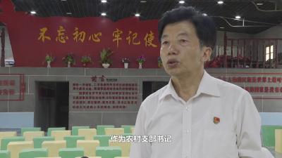 《转作风优环境大家谈》——花桥镇杨二岭村：当好贴心人  做好实干家