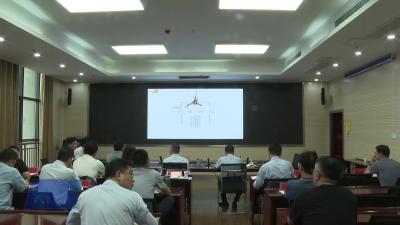 我市召开湖北大话嘻游项目专项设计汇报会